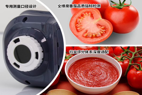 YS4582番茄醬大口徑測色儀